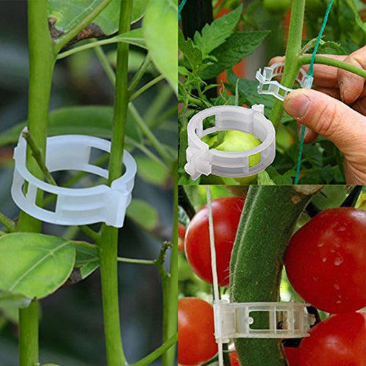 🍅🍅【200kusů】🌱Upevňovací klip pro pěstování sazenic