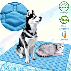 🧊🐶 Mata chłodząca dla psów i kotów 50×70 cm – ulga w upalne dni! ❄️🐱